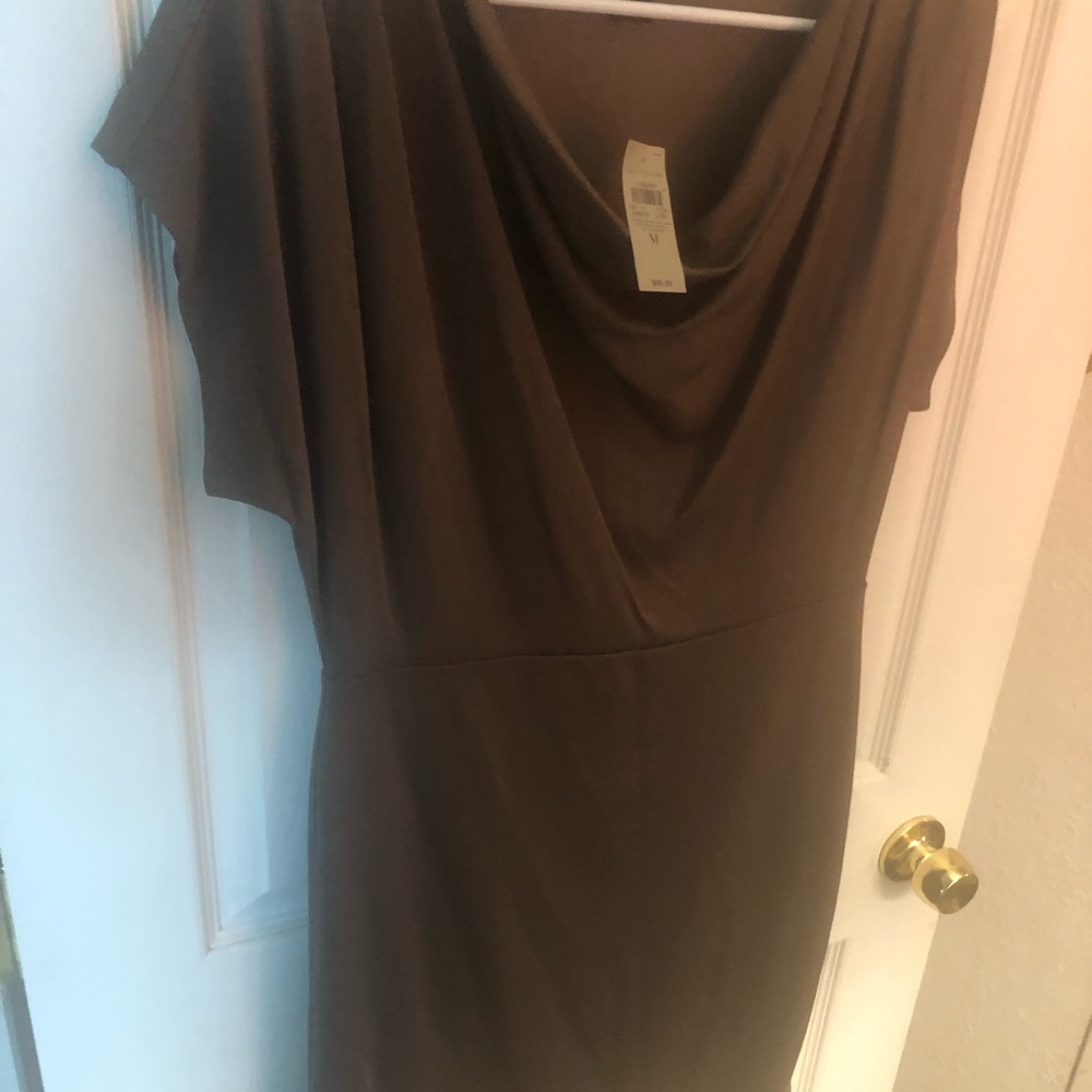Ann Taylor Brown Midi Dress